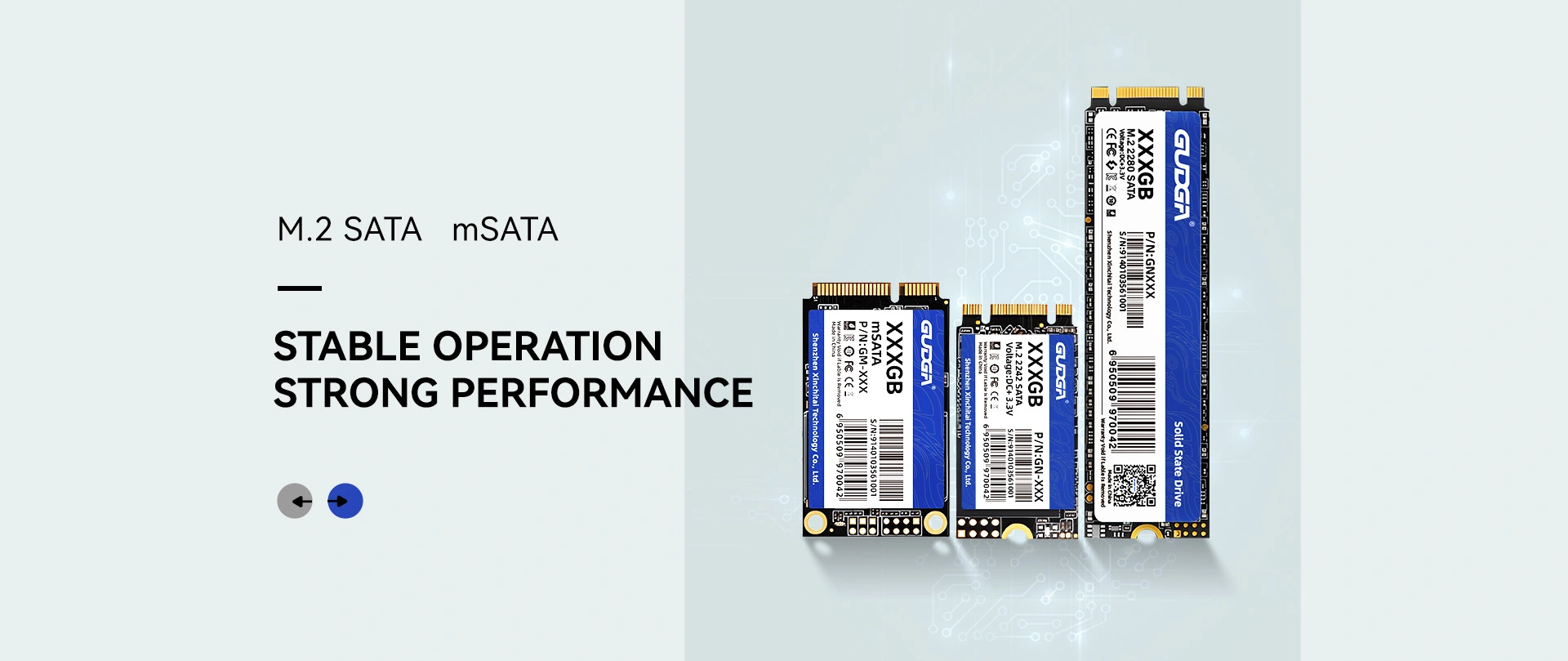 China Diskon M.2 SATA SSD Produsen