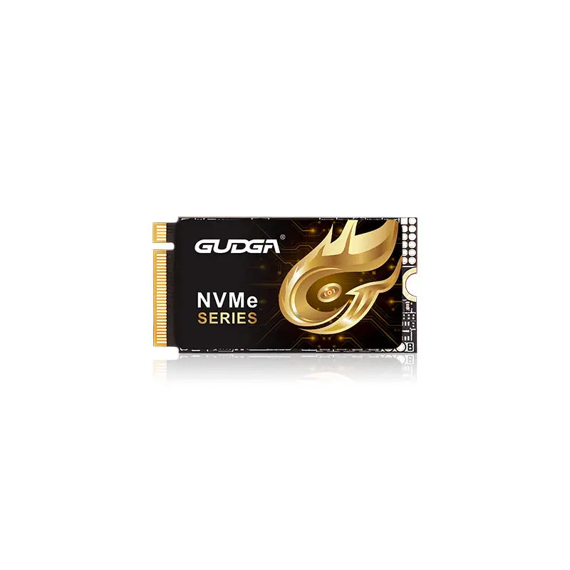 2242 Dawane PCIE 4.0 NVMe SSD 7000MB/s